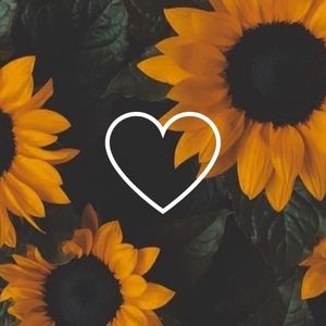 Meet your Posher, Sama